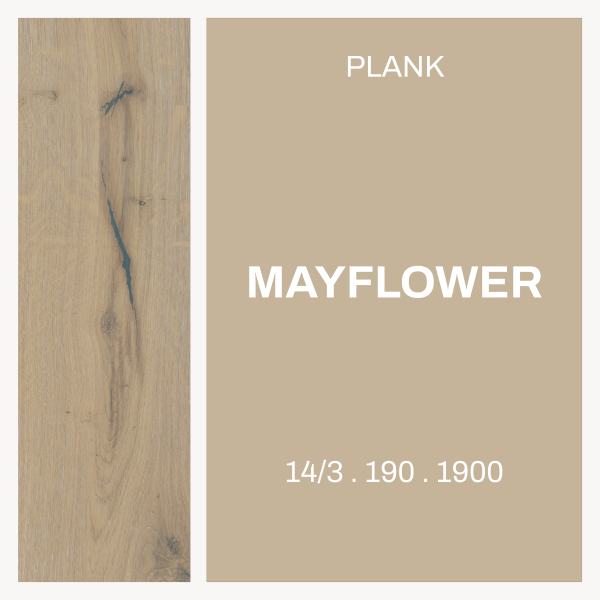 Mayflower – Plank 14/3 x 190 × 1900 Rustic grade
